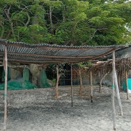 פלאייה בלאנקה Taca Tucan Hostel מראה חיצוני תמונה
